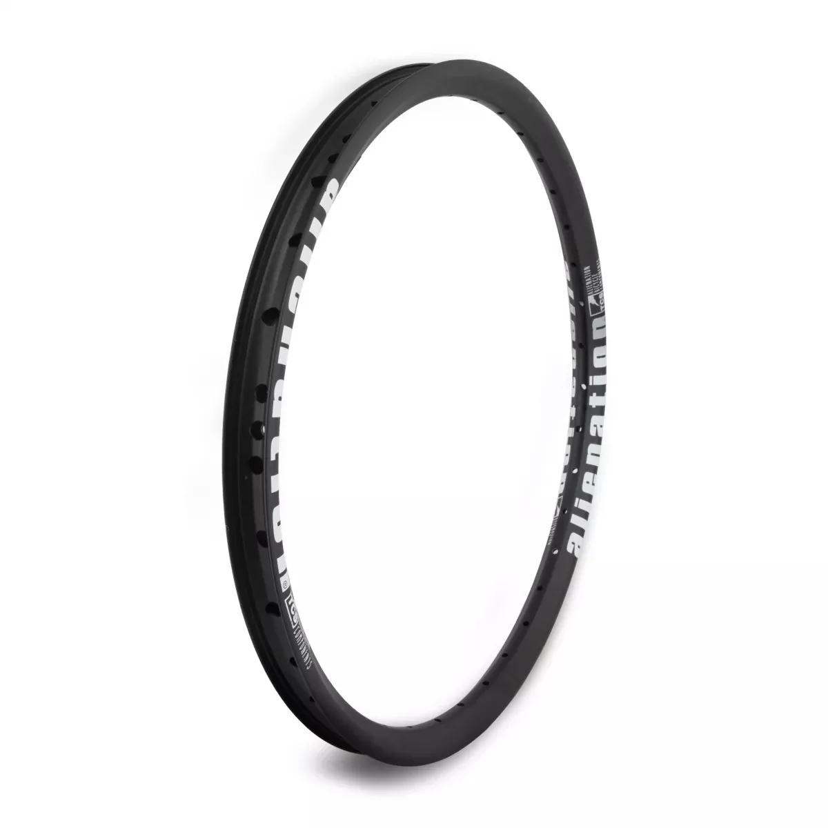 Alienation Mischief G69 Tcs Matte 20 in Bicycle Rim Black 36H Disc Brake