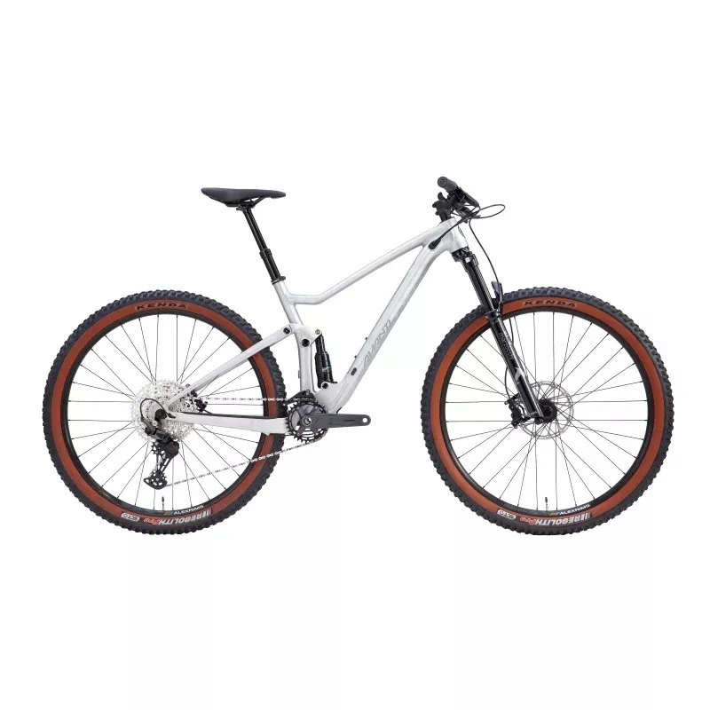 Avanti Hammer S1 2025