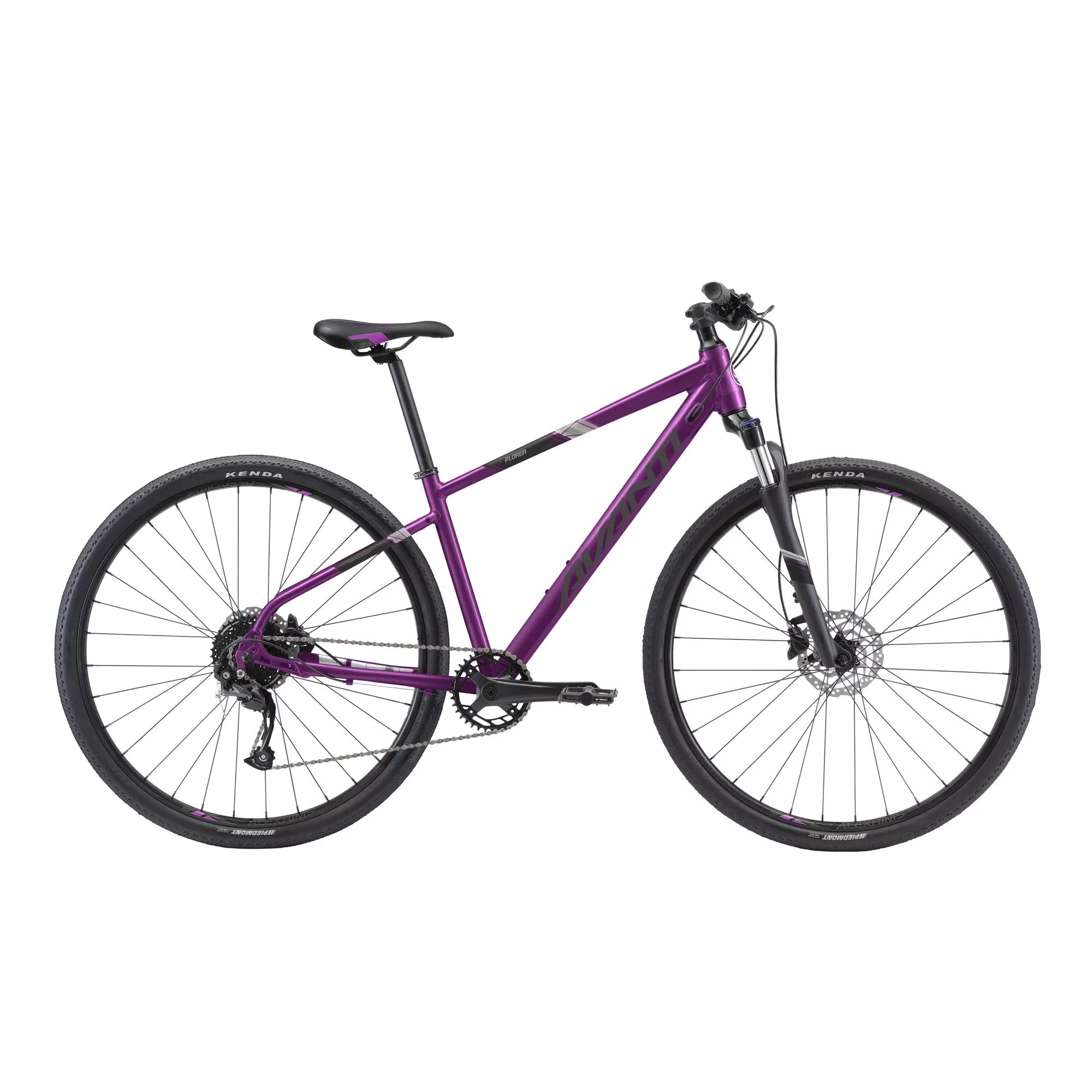 Avanti X-Plorer MS 2W 2025