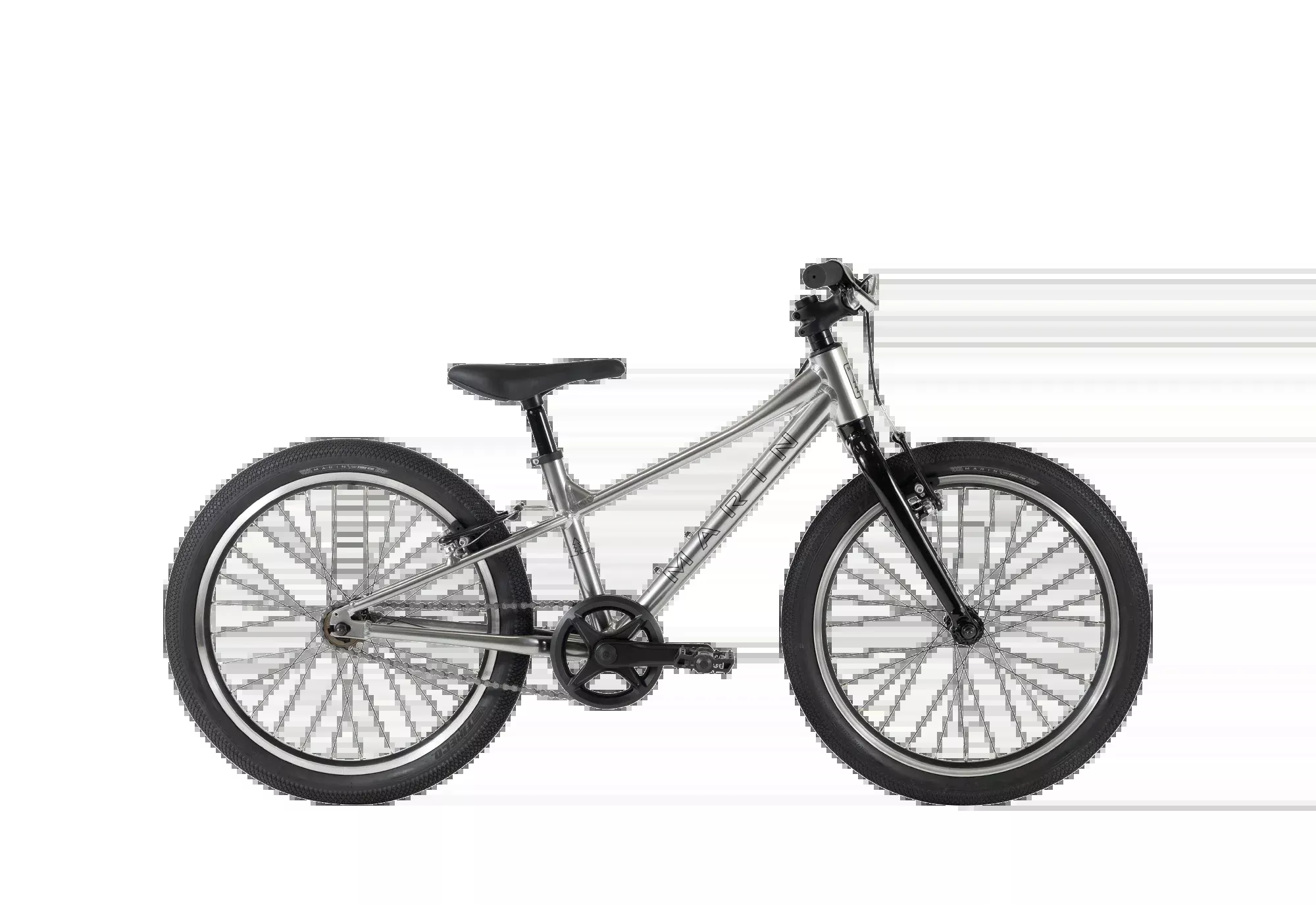 Coast Trail 20" 1