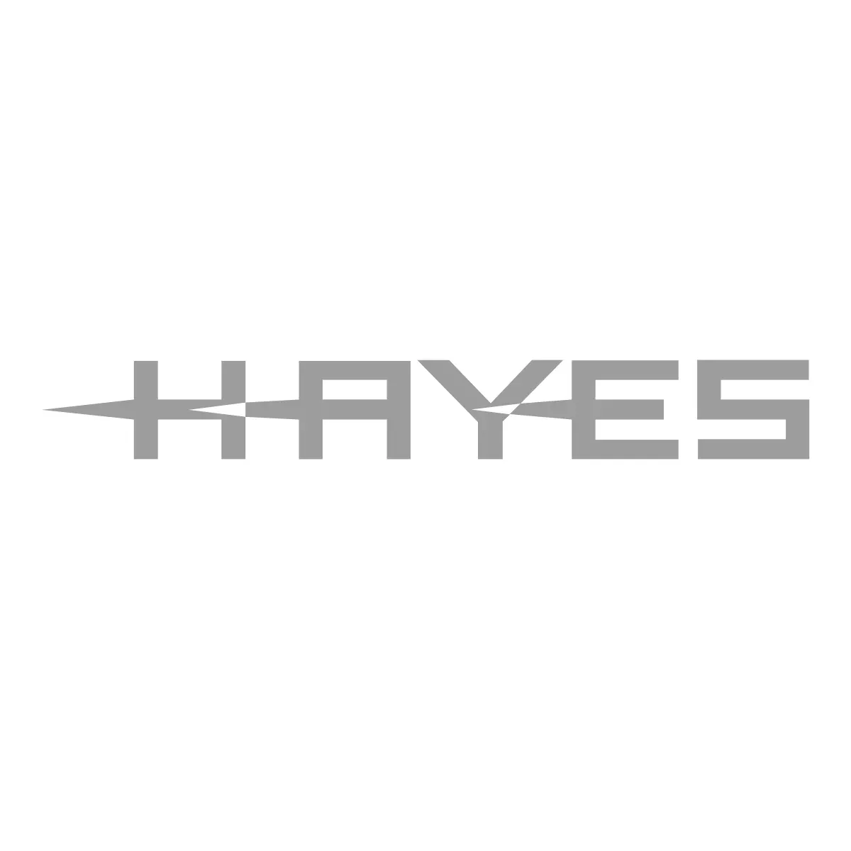 Hayes Ti Rotor Bolt Kit