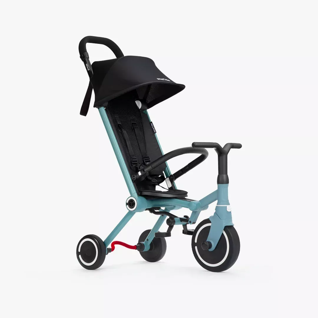 SmartTrike Wind Trike
