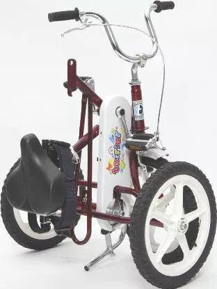 Triaid Terrier Hitch Folding Special Needs Tricycle/Trailer Combo