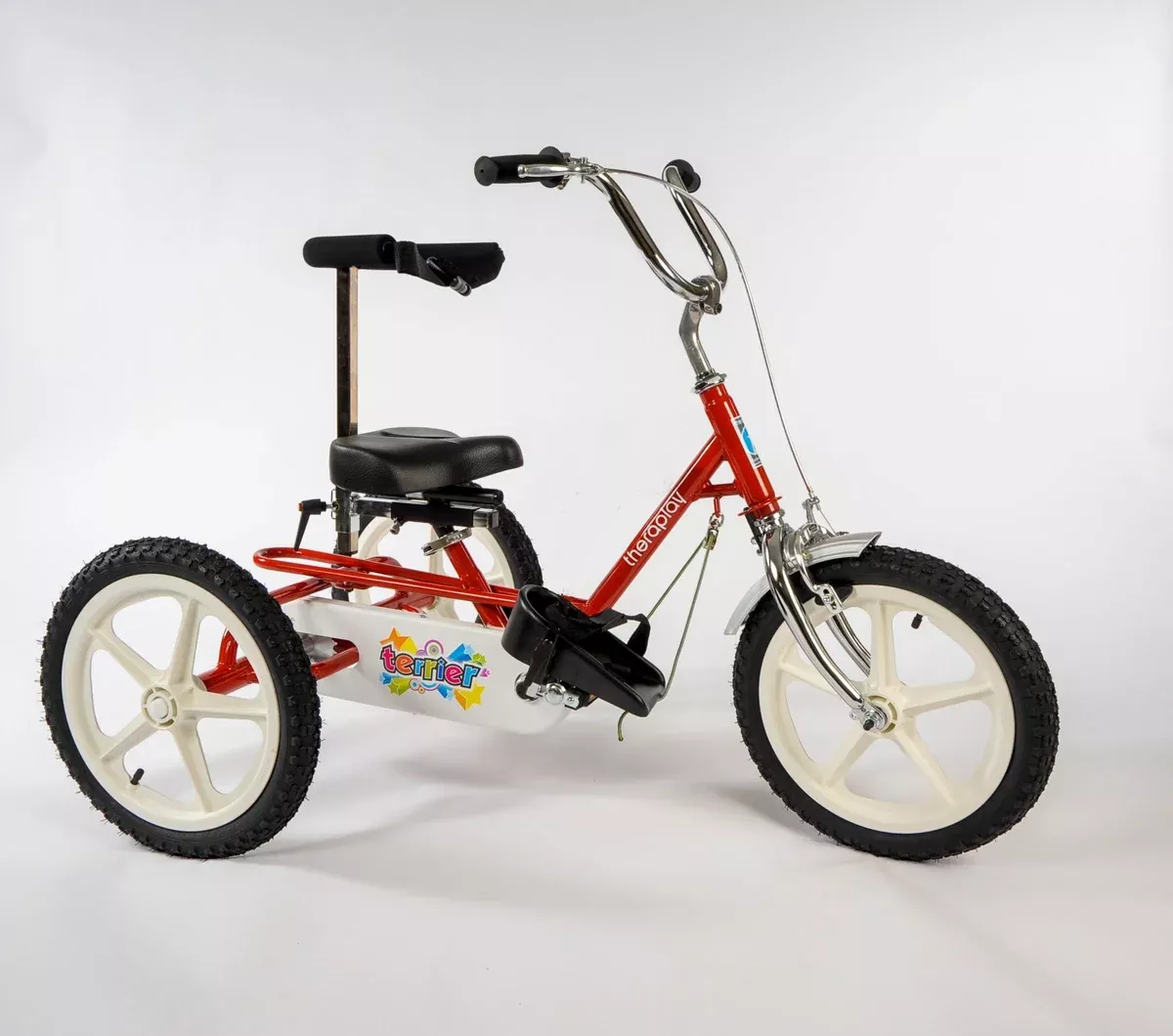 Triaid Terrier Special Needs Kids' Tricycle